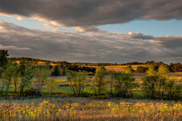 Afternoon in September