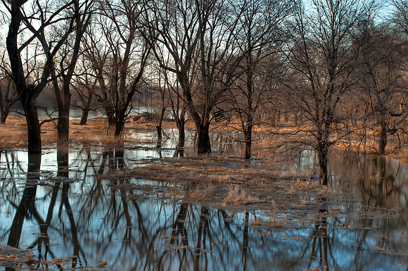 Swollen Cedar River
